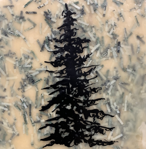 Money Tree - Image 13