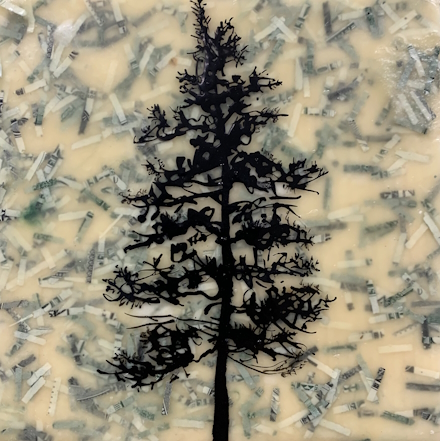 Money Tree - Image 15