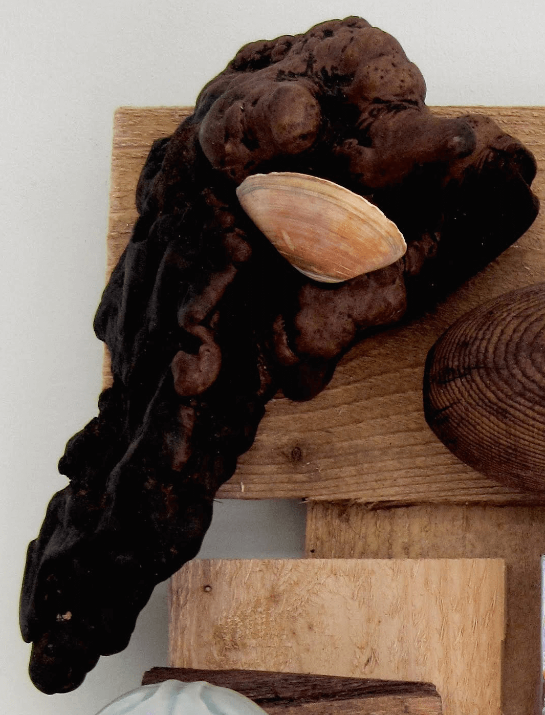 Beach Treasures - Image 5