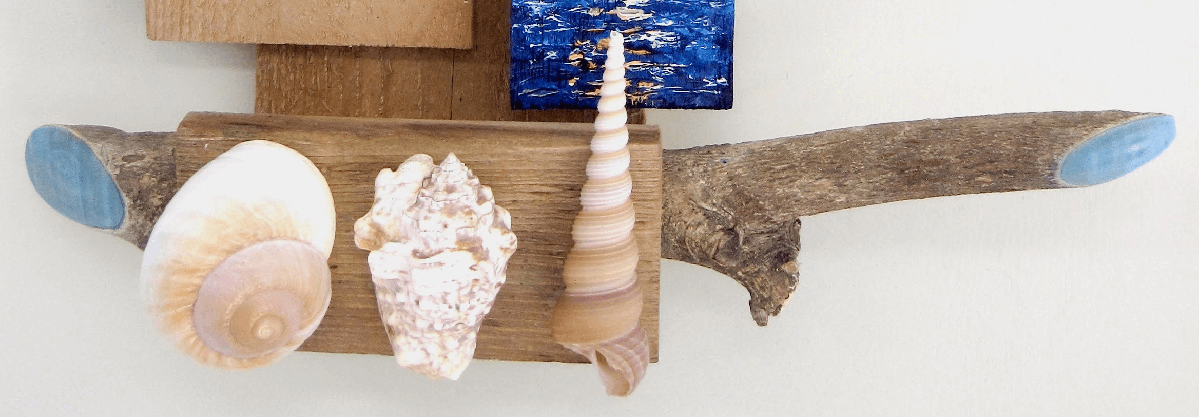 Beach Treasures - Image 4