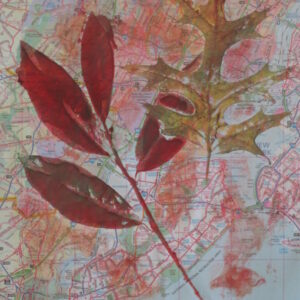 Printmaking with Nature