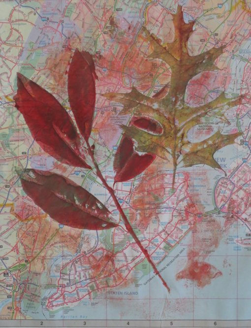 Printmaking with Nature