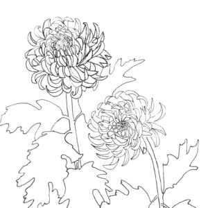 Mum Pattern test purchase