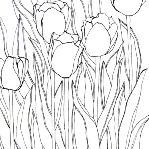 Tulip Sketch Pattern