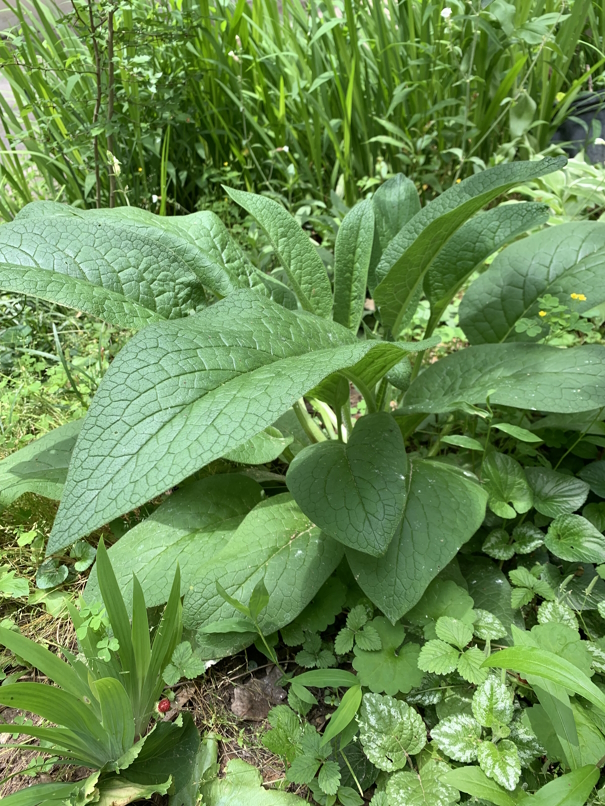 Nature Works Workshop at Deborah's Garden or Hosted Party