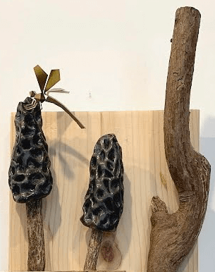 Morel Mushroom and Dragonfly - Image 4