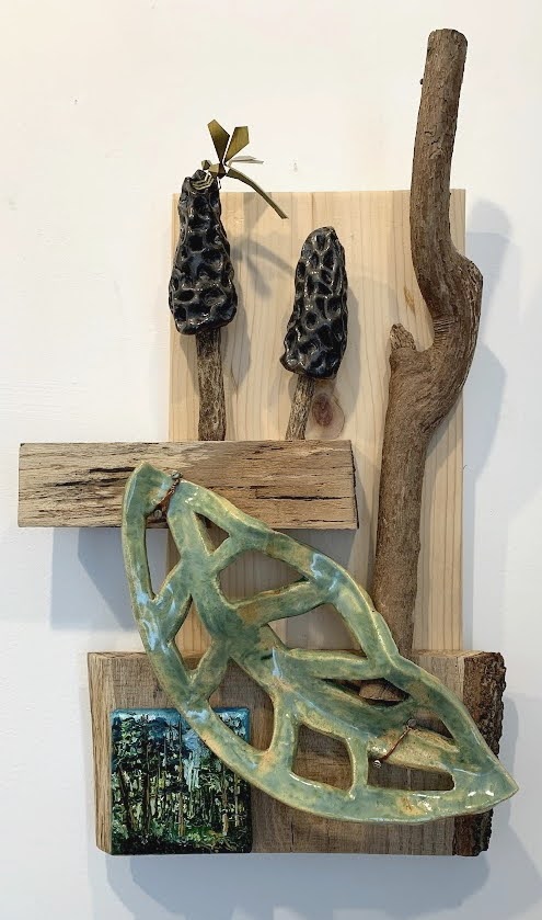 Morel Mushroom and Dragonfly
