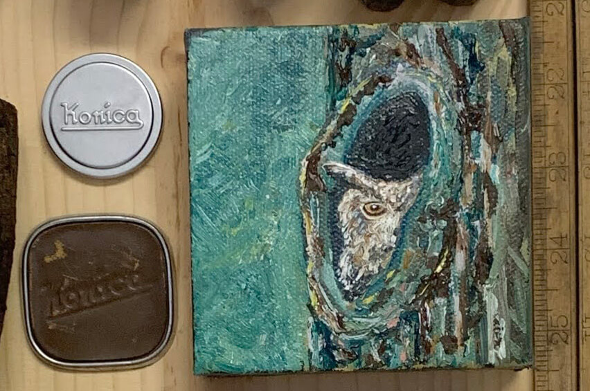 Peeking Owl - Image 3
