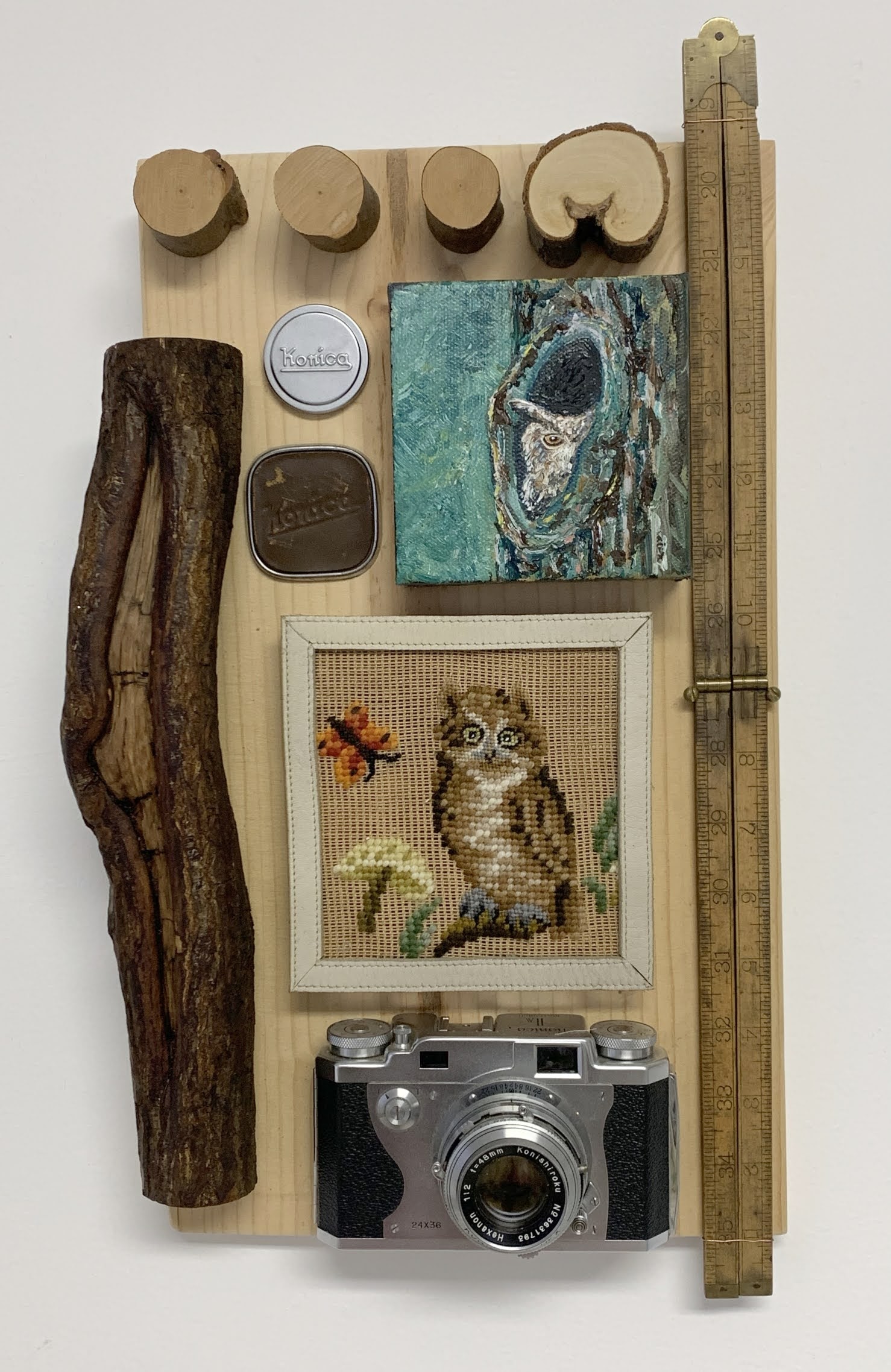 Peeking Owl