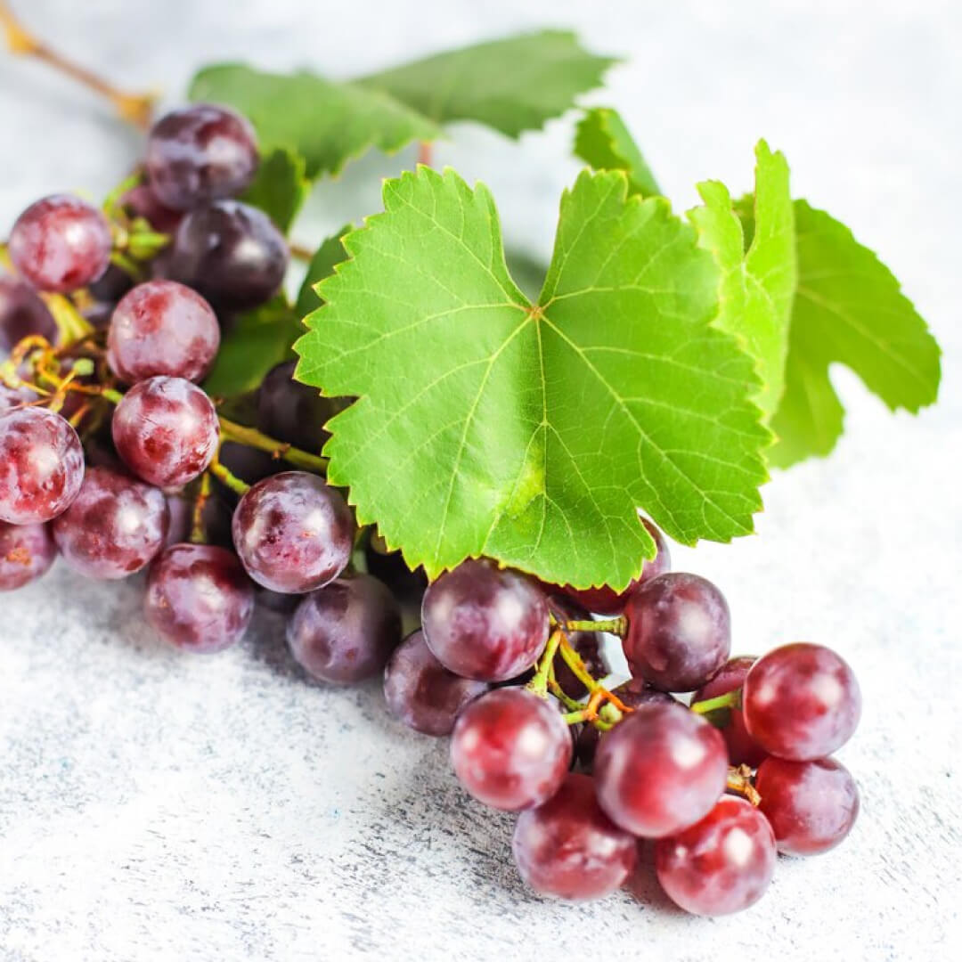 Grape leaves - Image 2