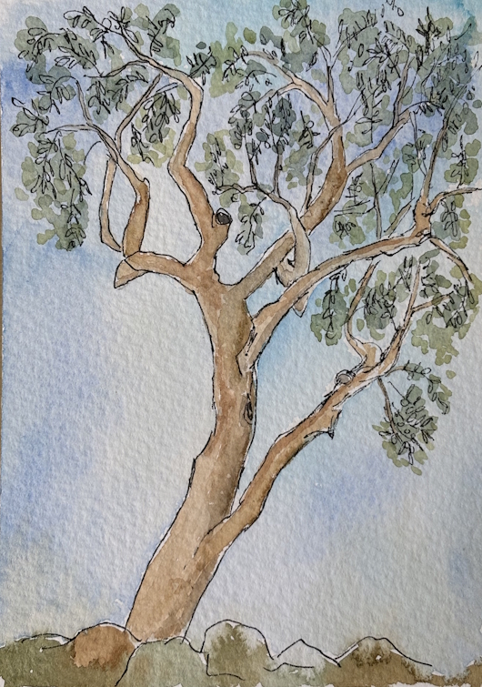 France 5x7 Watercolor Collection - Image 7