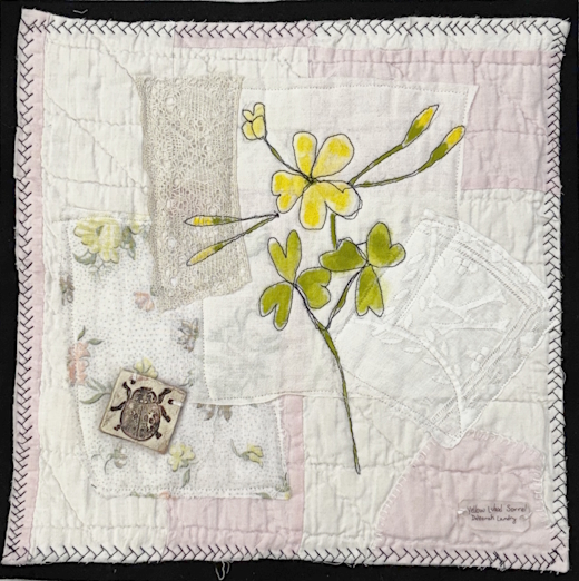 Reimagined Meadows- Yellow wood sorrel